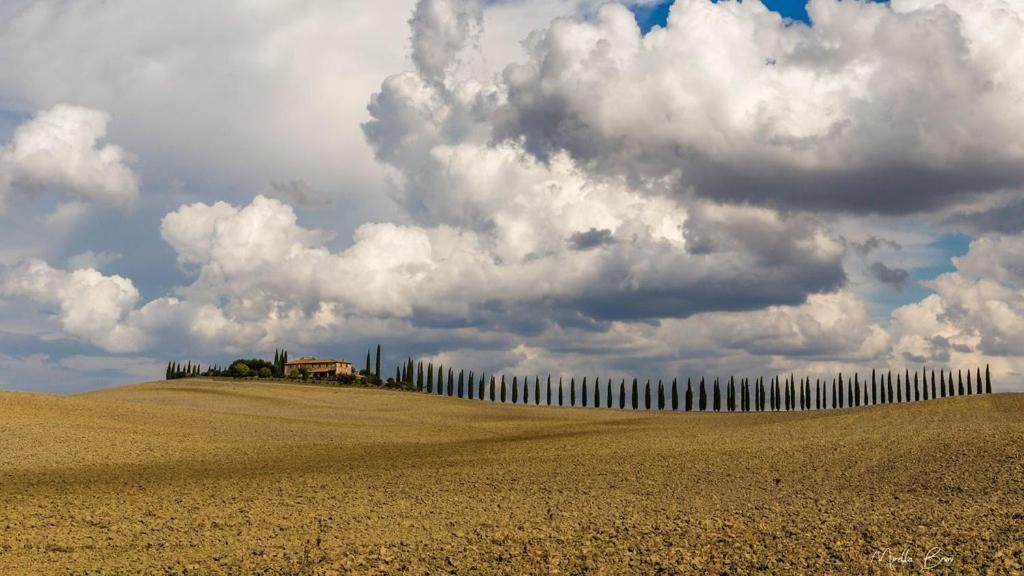 Апартаменты Casa Bandino Campiglia d'Orcia Экстерьер фото